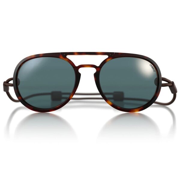 Ombraz Dolomite / Tortoise / Polarized Grey  Regular