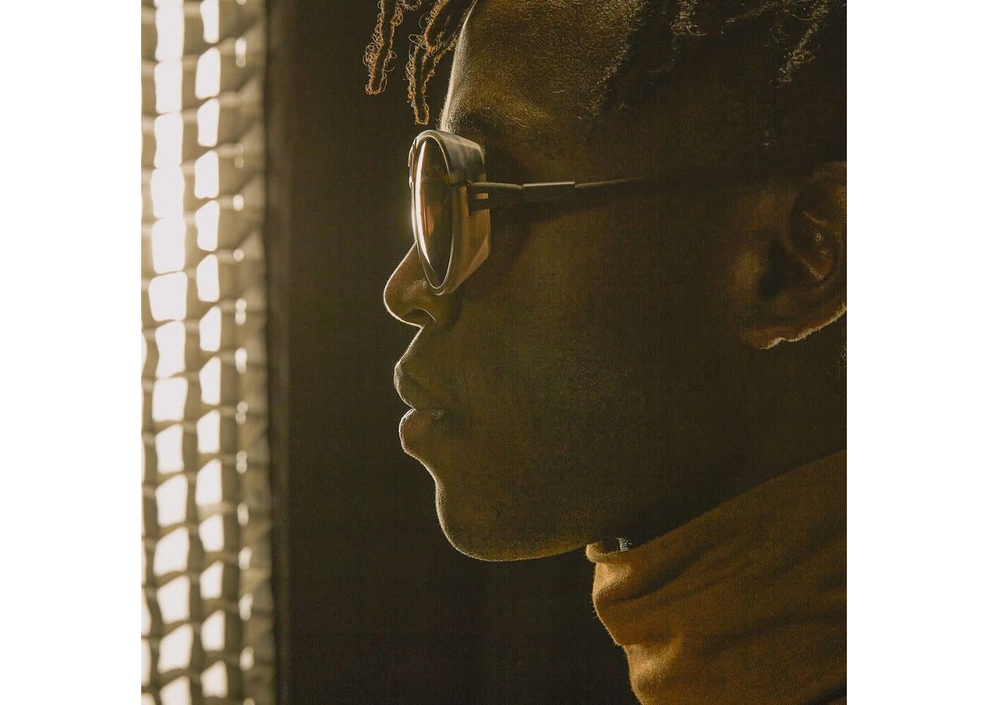 Dolomite / Tortoise / Polarized Grey  Regular