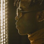 Ombraz Dolomite / Tortoise / Polarized Grey  Regular