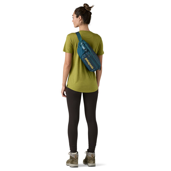 Patagonia Black Hole Waist Pack 5L GRZG