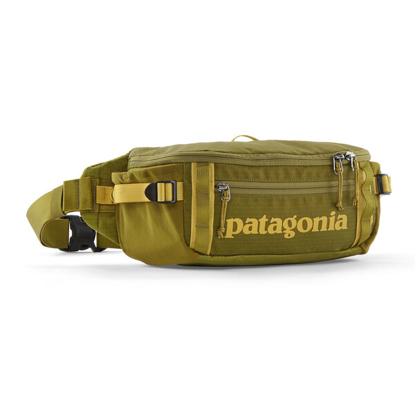 Patagonia Black Hole Waist Pack 5L GRZG