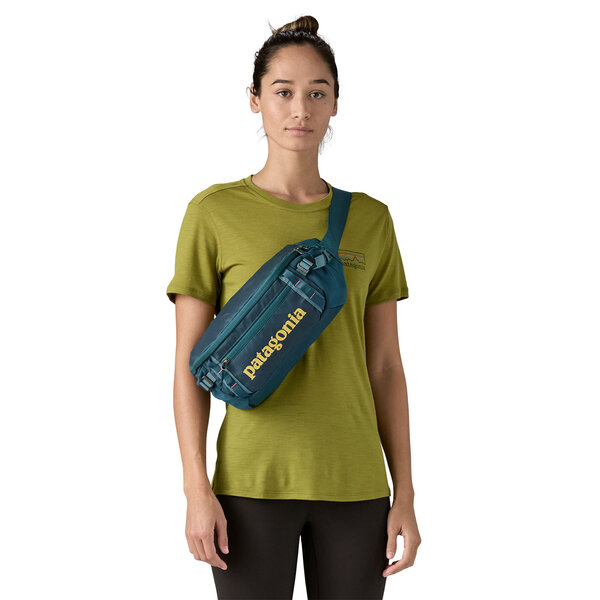 Patagonia Black Hole Waist Pack 5L GRZG