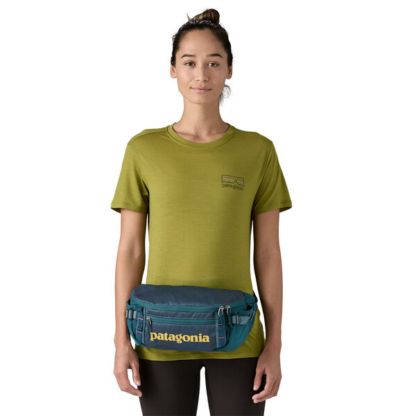 Patagonia Black Hole Waist Pack 5L GRZG