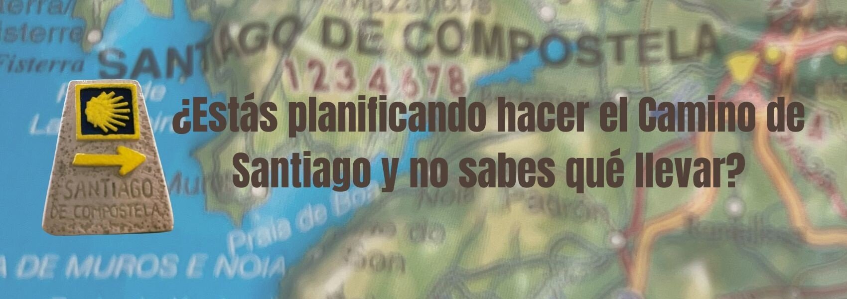 Camino