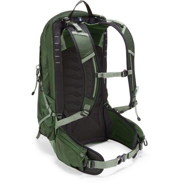 OSPREY TALON 22 GREEN CANOPY PINE LEAF OS