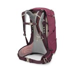 OSPREY Sirrus 24 Elderberry Purple-Chiru Tan O/S
