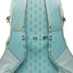 Cotopaxi Elqui 18L Backpack - Foam And Silver Leaf