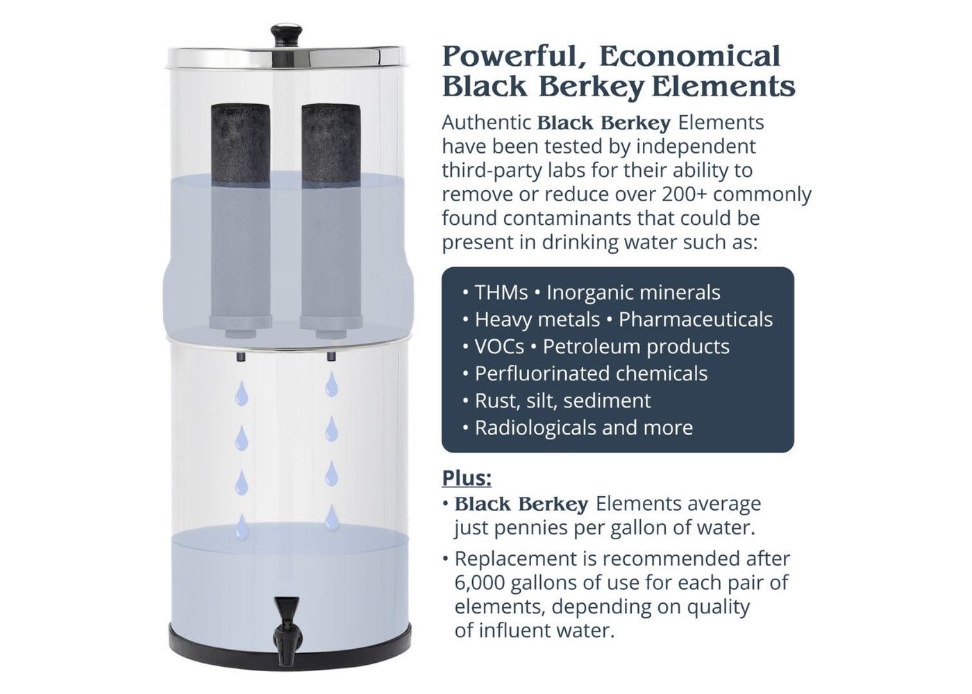 Crown Berkey System