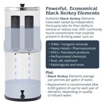 BERKEY PURIFICATION SYSTEMS Crown Berkey System