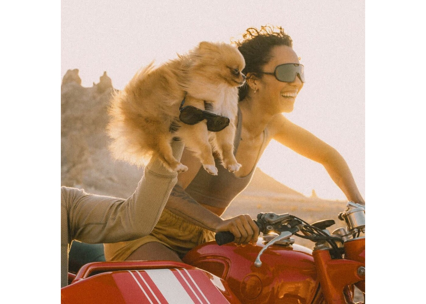 Refugio / Charcoal / Grey with Silver Mirror  Regular