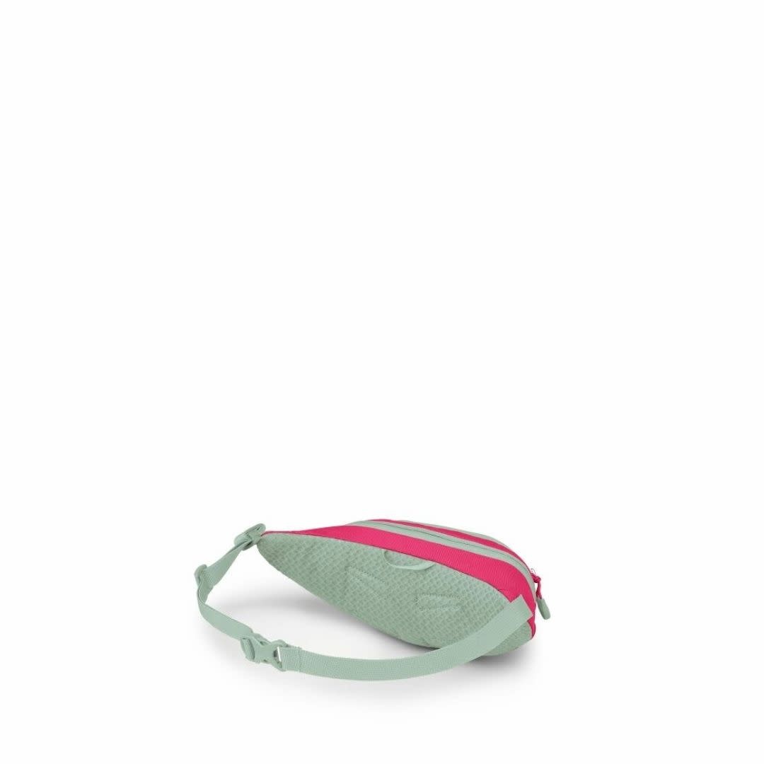 OSPREY Daylite Mini Waist Pack Hotspot Pink OS