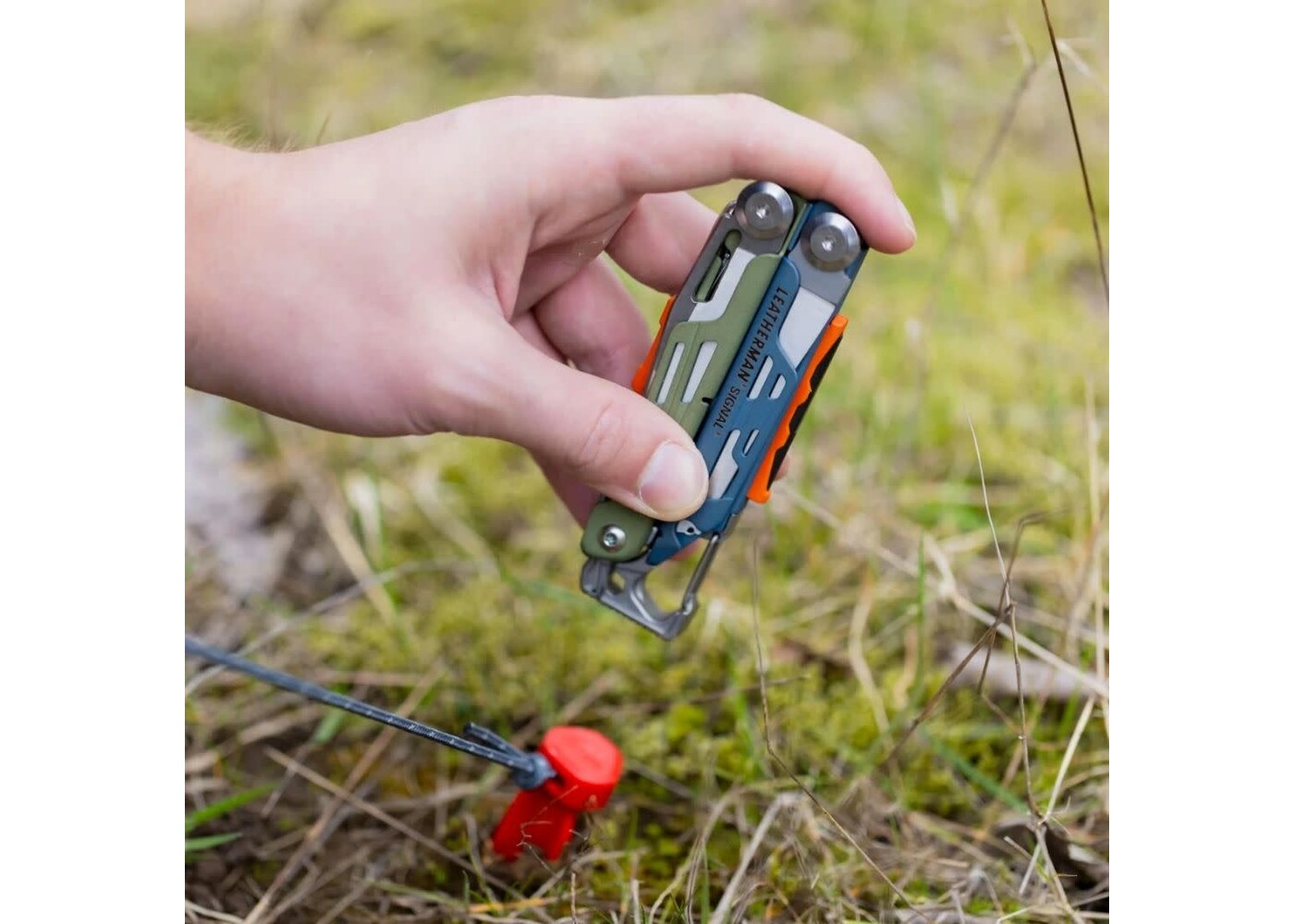 Signal - Tundrascape