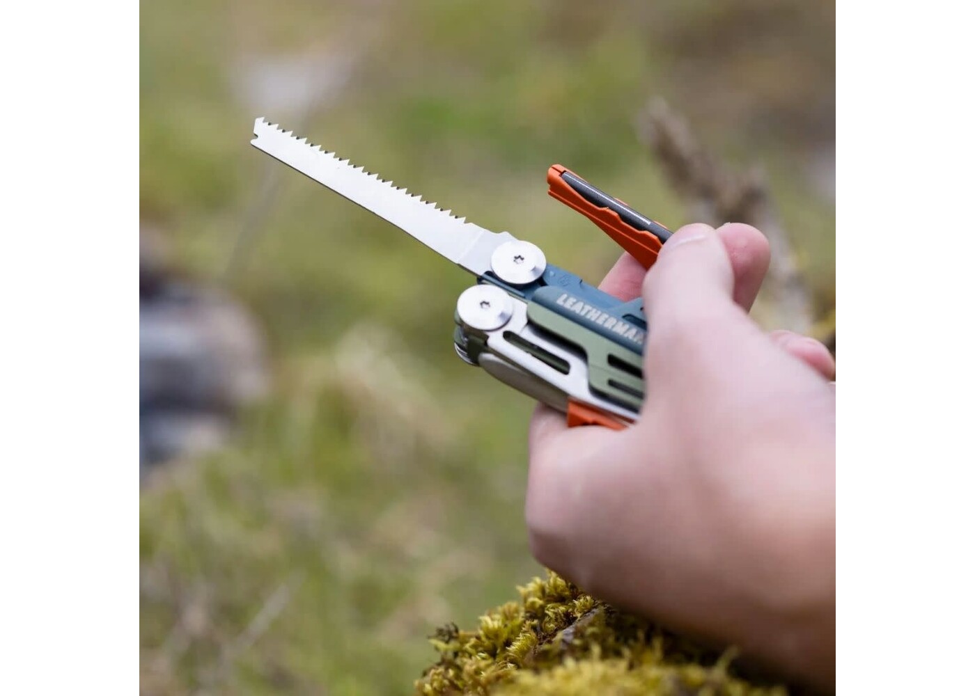 Signal - Tundrascape