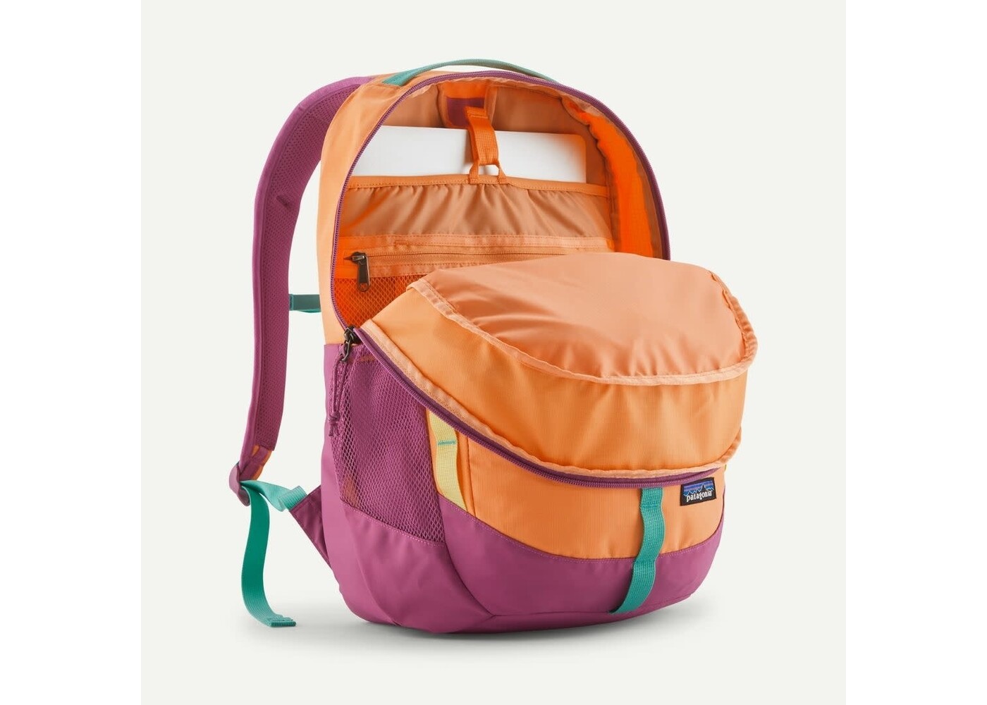 Patagonia Refugio 26L Day Pack FDMG