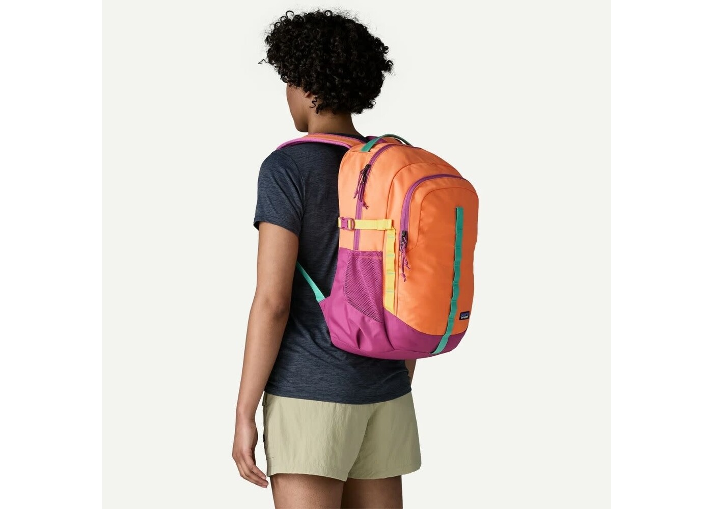 Patagonia Refugio 26L Day Pack FDMG