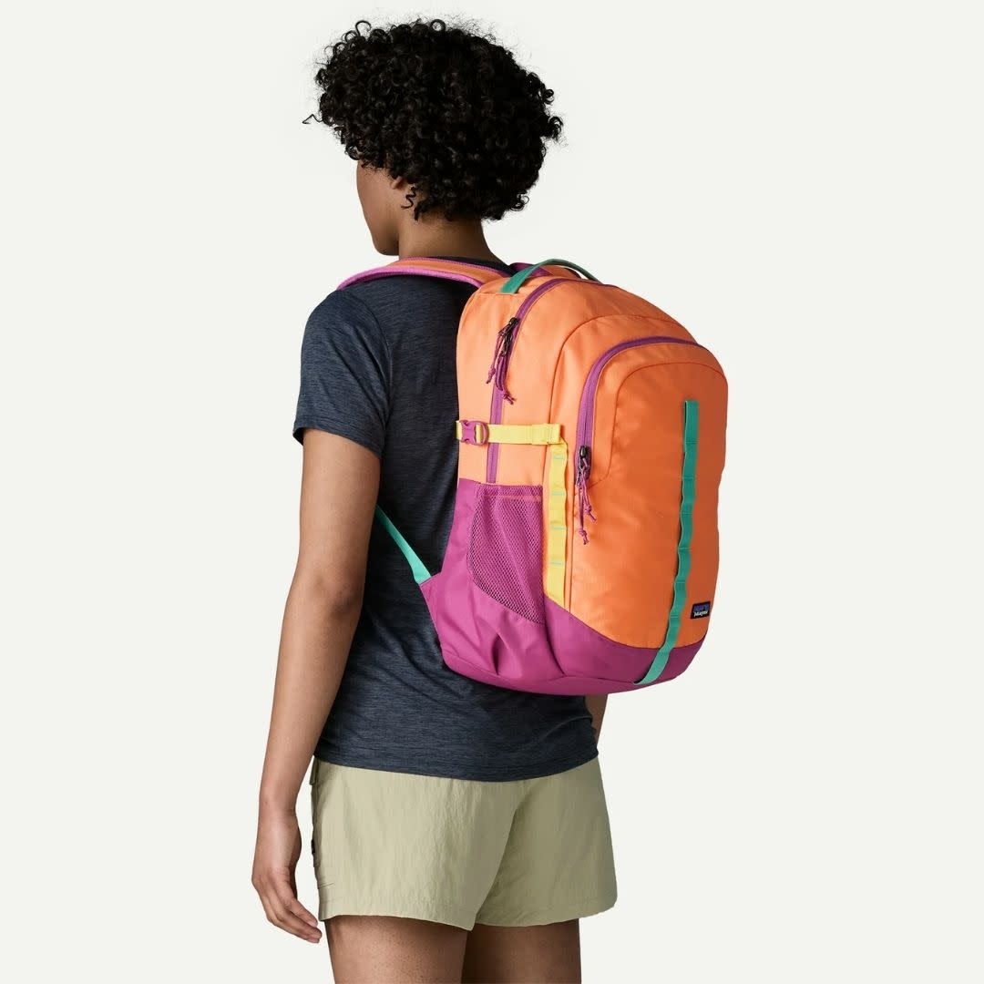 Patagonia Refugio 26L Day Pack FDMG