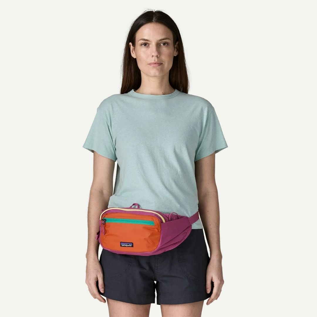 Patagonia Terravia Hip Pack AQST