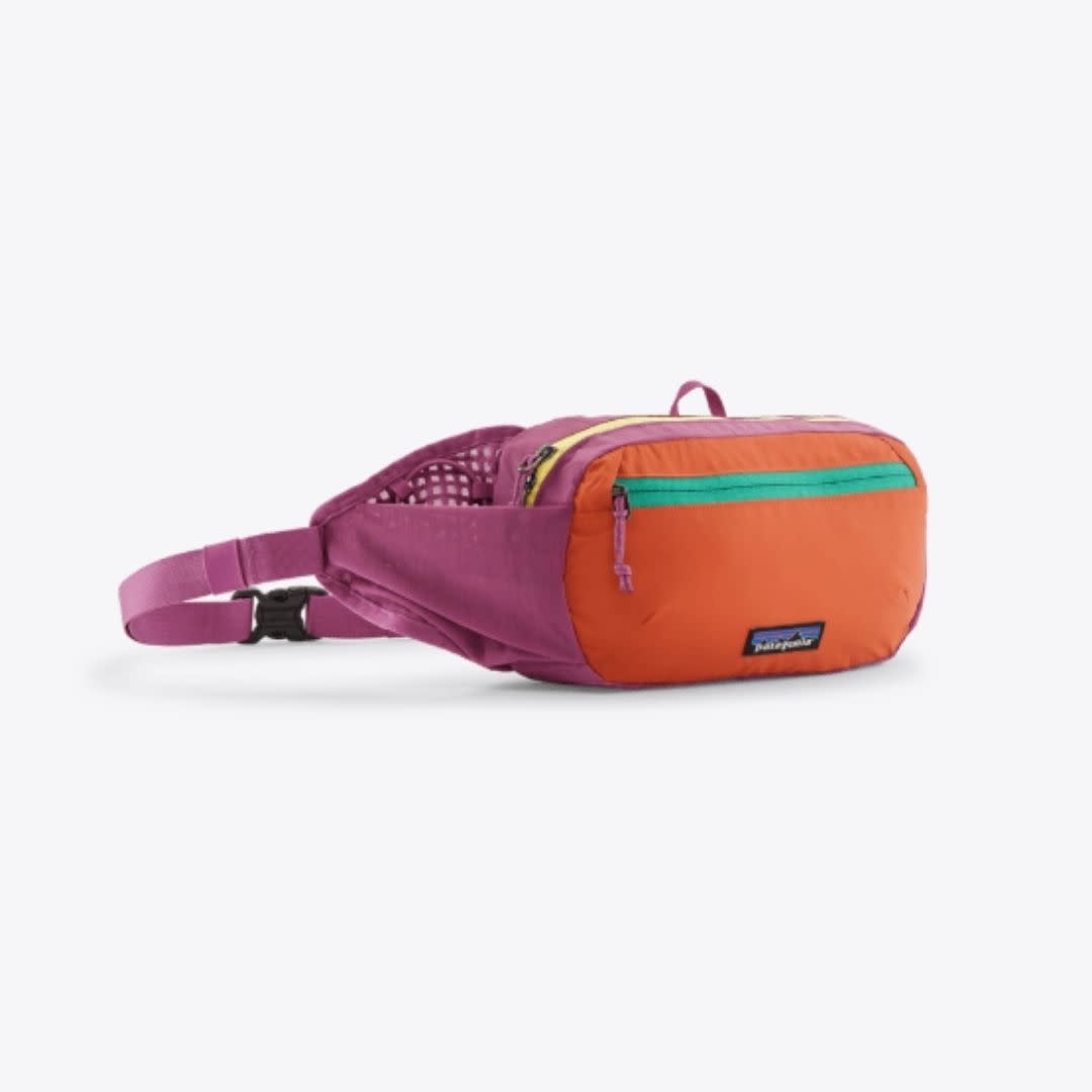 Patagonia Terravia Hip Pack FDMG
