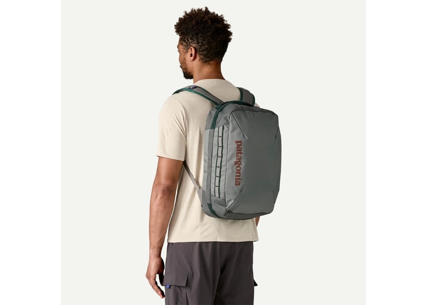 Patagonia Black Hole Micro MLC 22L Backpack NGRY