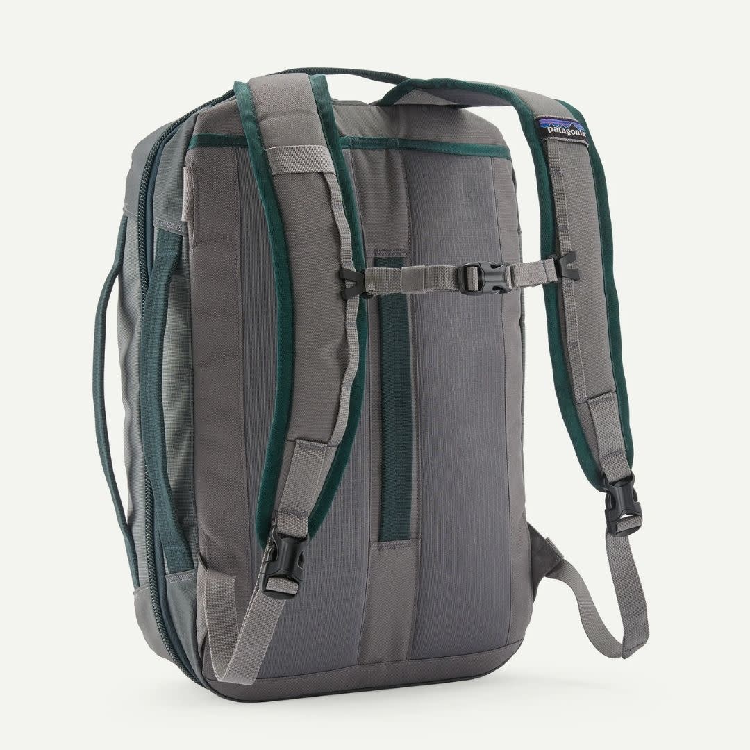 Patagonia Black Hole Micro MLC 22L Backpack NGRY