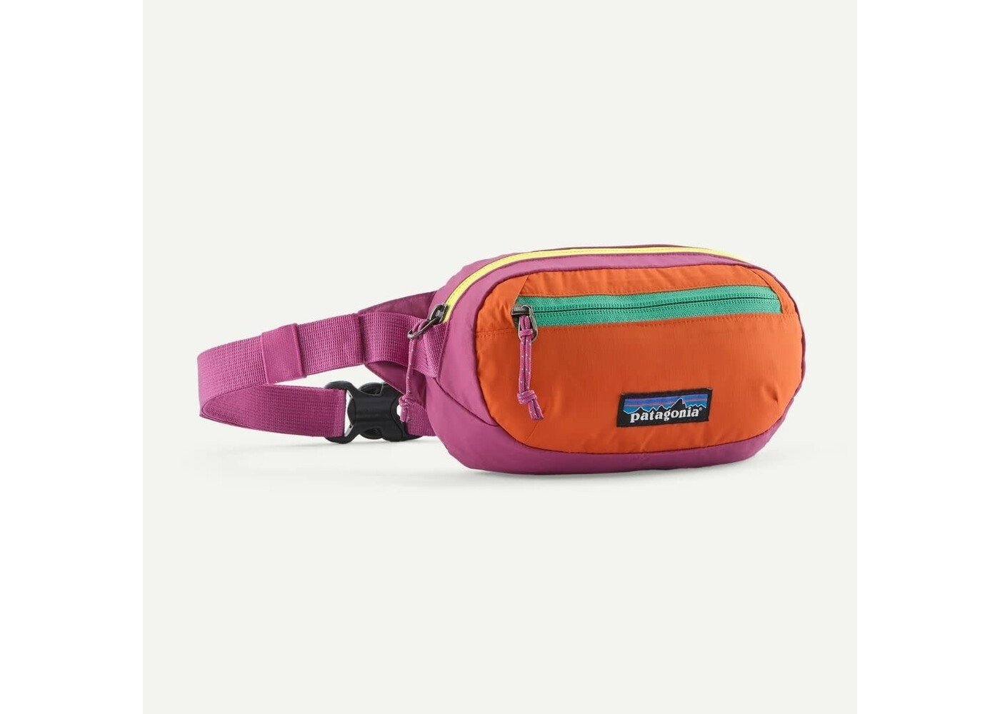 Patagonia Terravia Mini Hip Pack FDMG