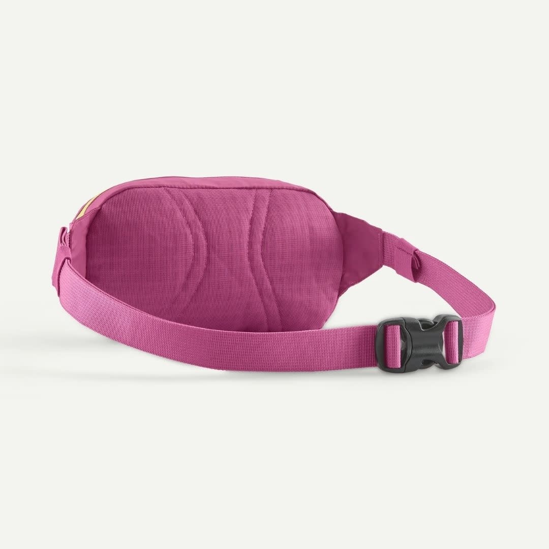 Patagonia Terravia Mini Hip Pack FDMG