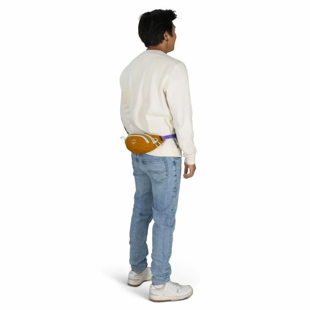 OSPREY Daylite Mini Waist Pack Frost Moon OS