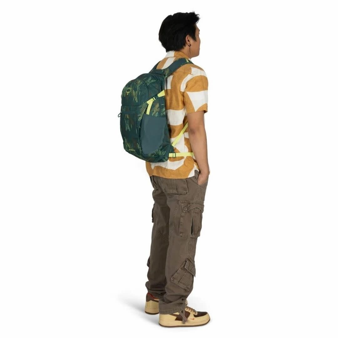 OSPREY Daylite Plus Fuzzy Window Print Torrent Blue O/S