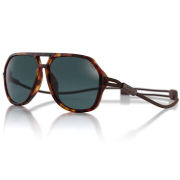  Classics / Tortoise / Photochromic Lens