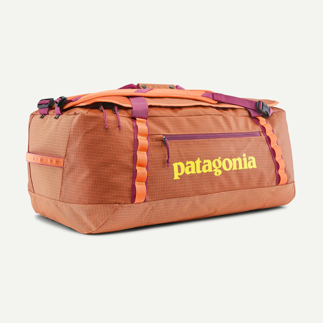 Patagonia Black Hole Duffel 70L PCHS