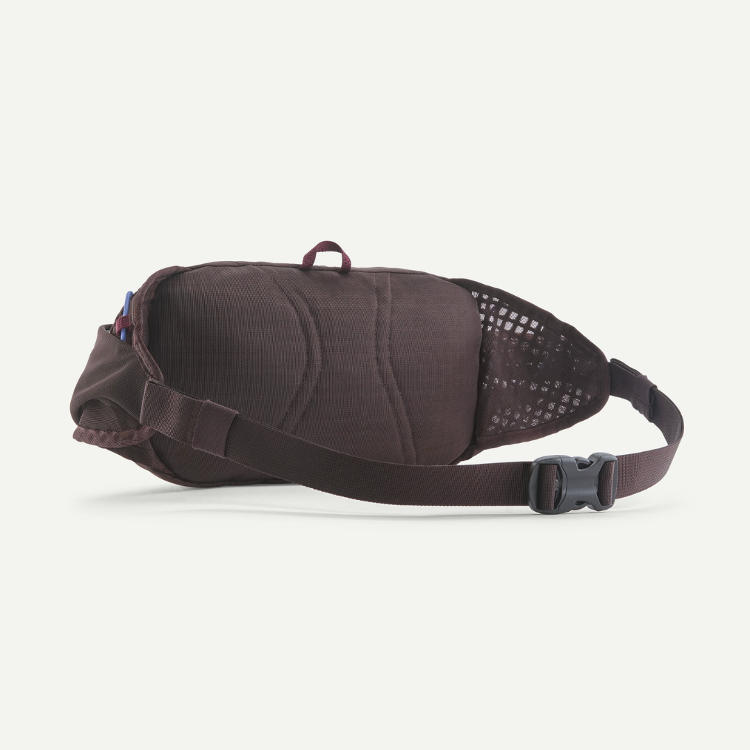 Patagonia Terravia Hip Pack BYFG