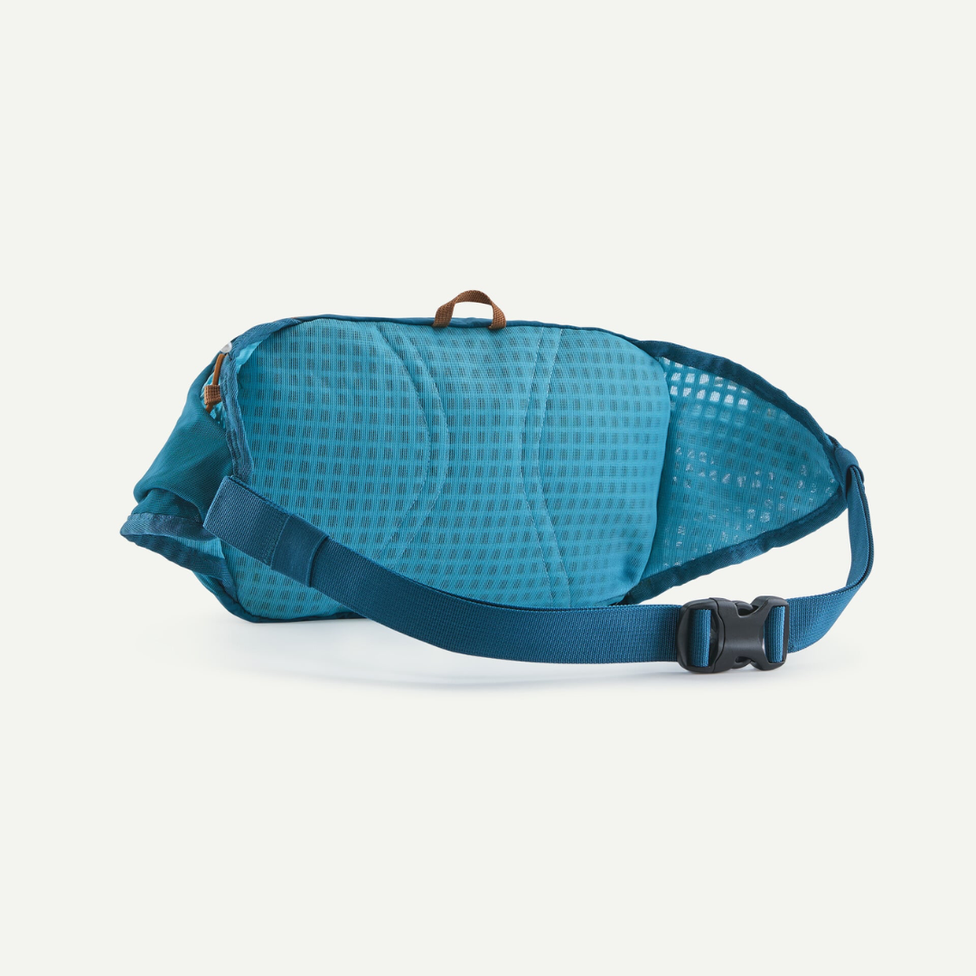 Patagonia Terravia Hip Pack GLCB