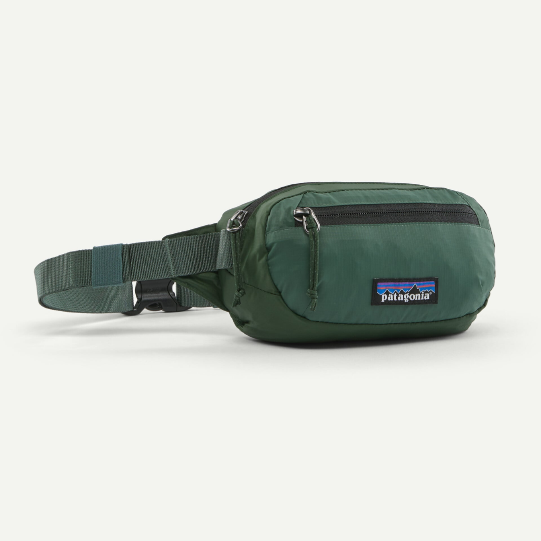 Patagonia Terravia Mini Hip Pack CNGR