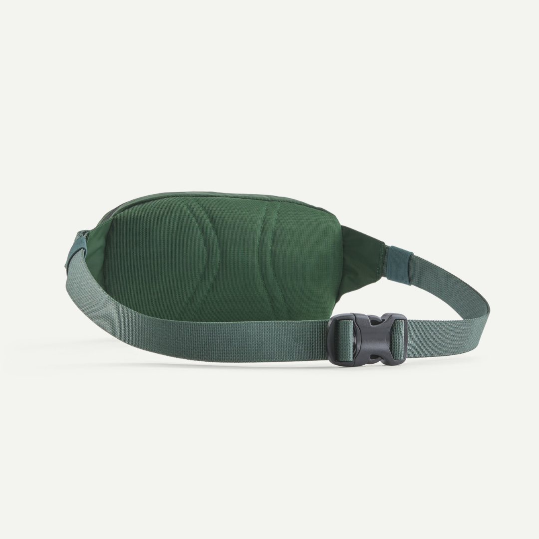 Patagonia Terravia Mini Hip Pack CNGR