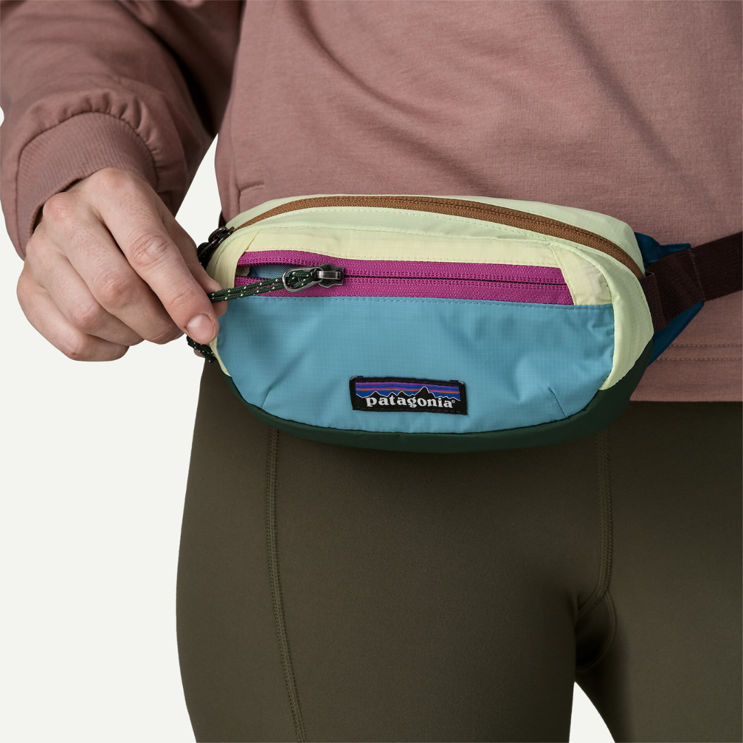 Patagonia Terravia Mini Hip Pack PWSN