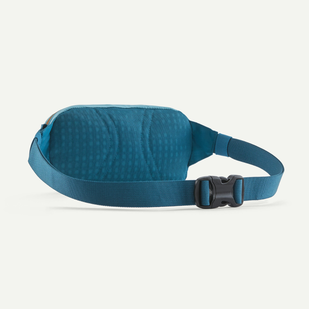 Patagonia Terravia Mini Hip Pack SMBE