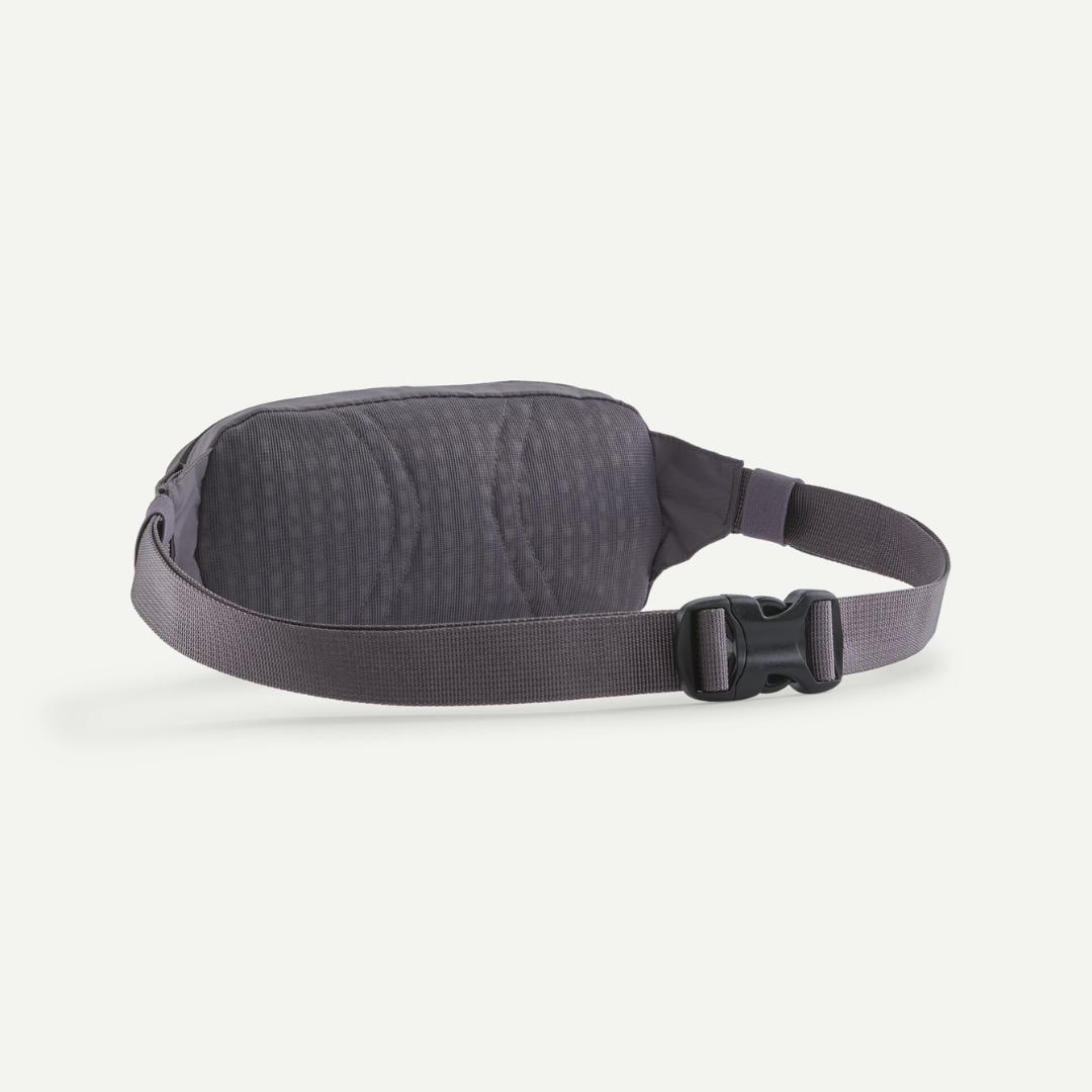Patagonia Terravia Mini Hip Pack WSTO