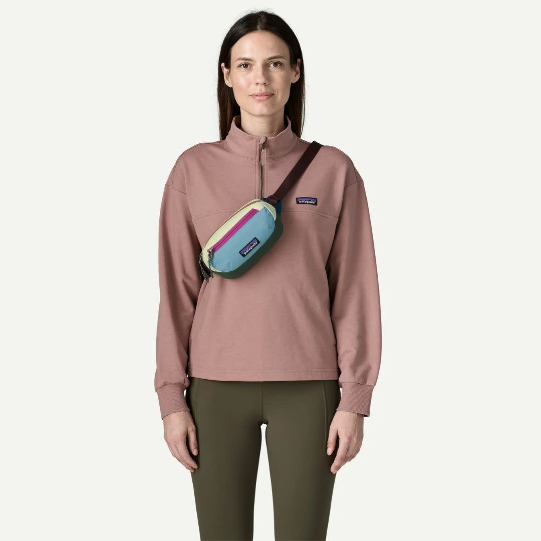 Patagonia Terravia Mini Hip Pack BYFG