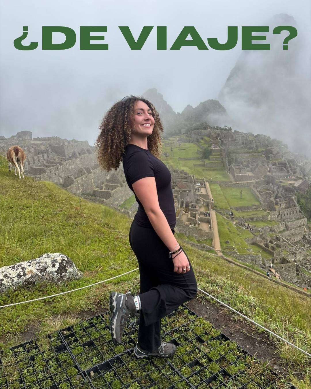 Acampa Puerto Rico | Best Brands for Outdoor and Travel