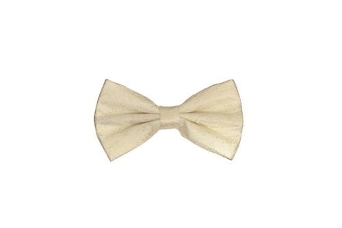 Vesuvio Napoli BowTie CKL 278 Paisley