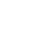 Fast Shipping