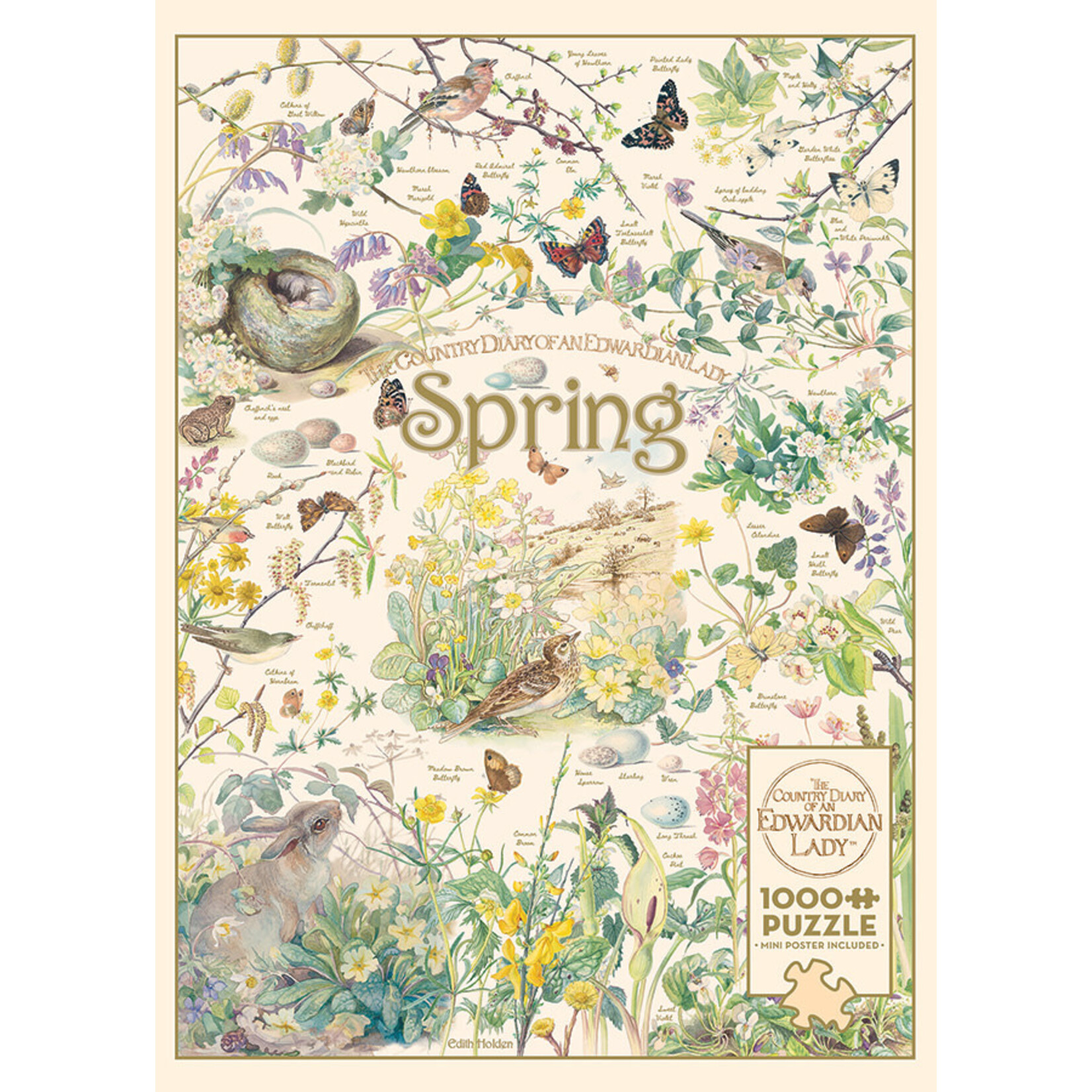 Cobble Hill Puzzles Country Diary: Spring 1000pc