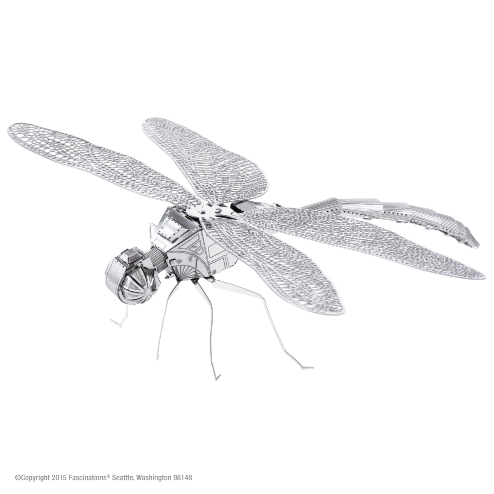 Fascinations Wildlife: Dragonfly