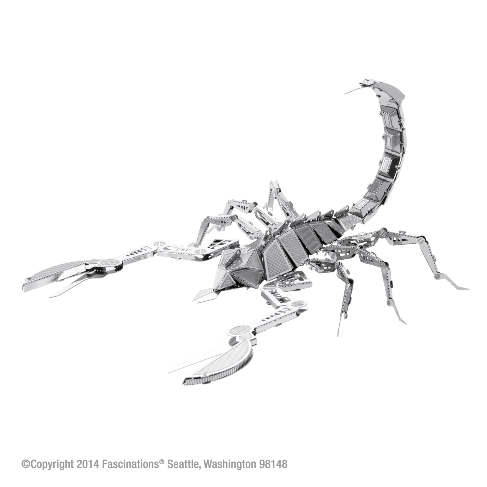 Fascinations Wildlife: Scorpion