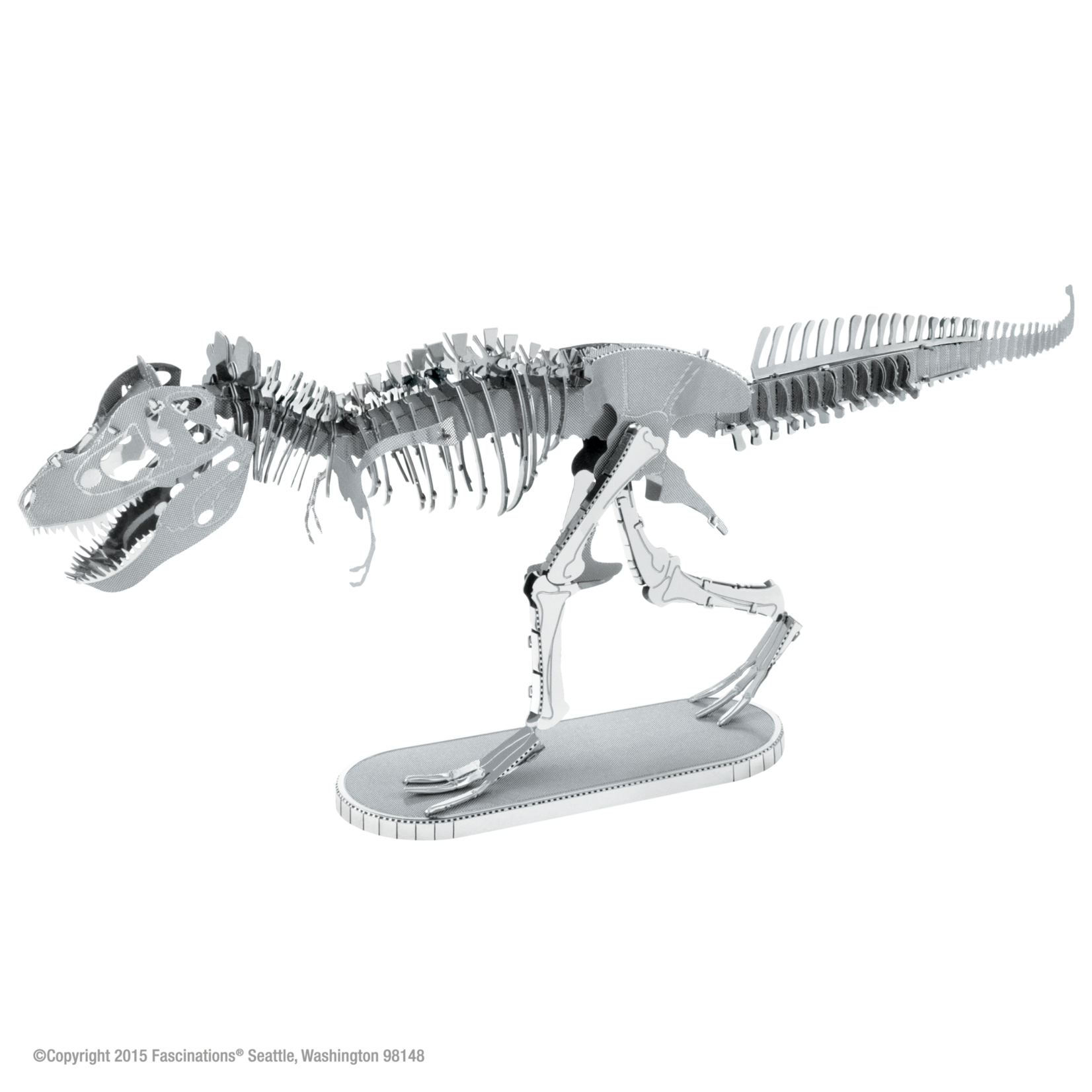 Fascinations Dinosaur: T. Rex Skeleton