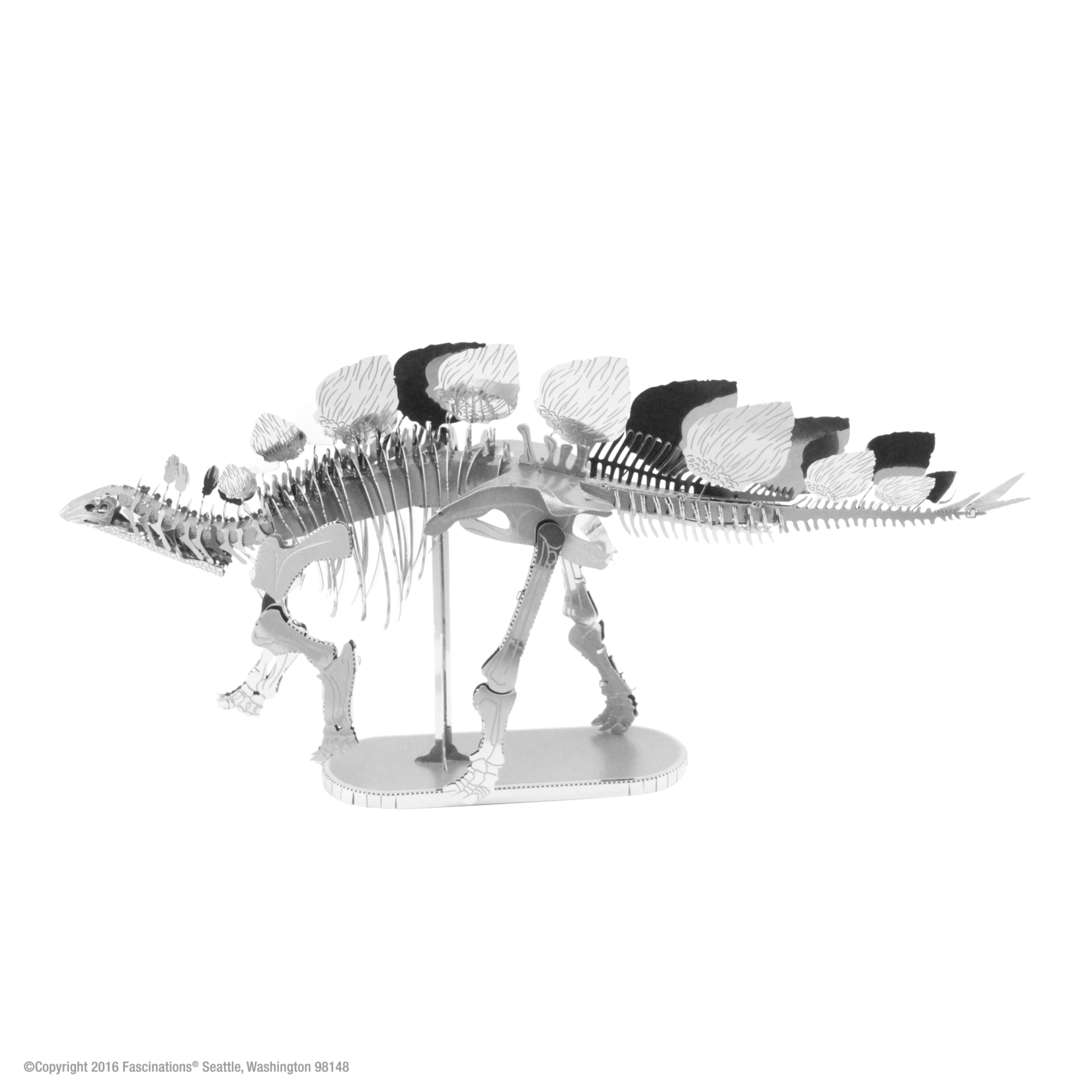Fascinations Dinosaur: Stegosaurus Skeleton