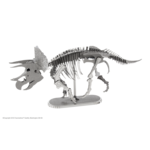 Fascinations Dinosaur: Triceratops Skeleton