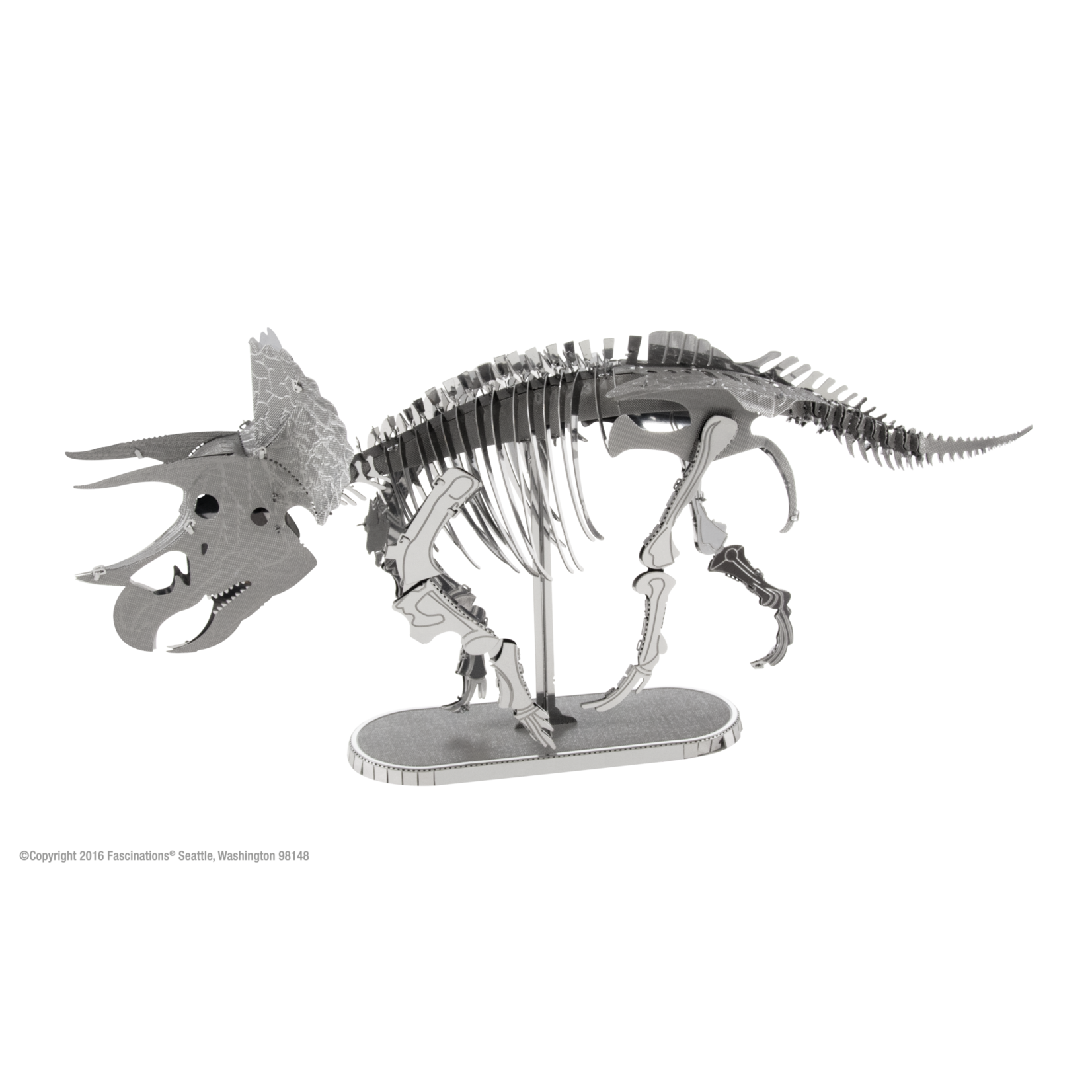 Fascinations Dinosaur: Triceratops Skeleton