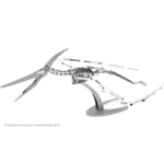 Fascinations Dinosaur: Pteranodon Skeleton