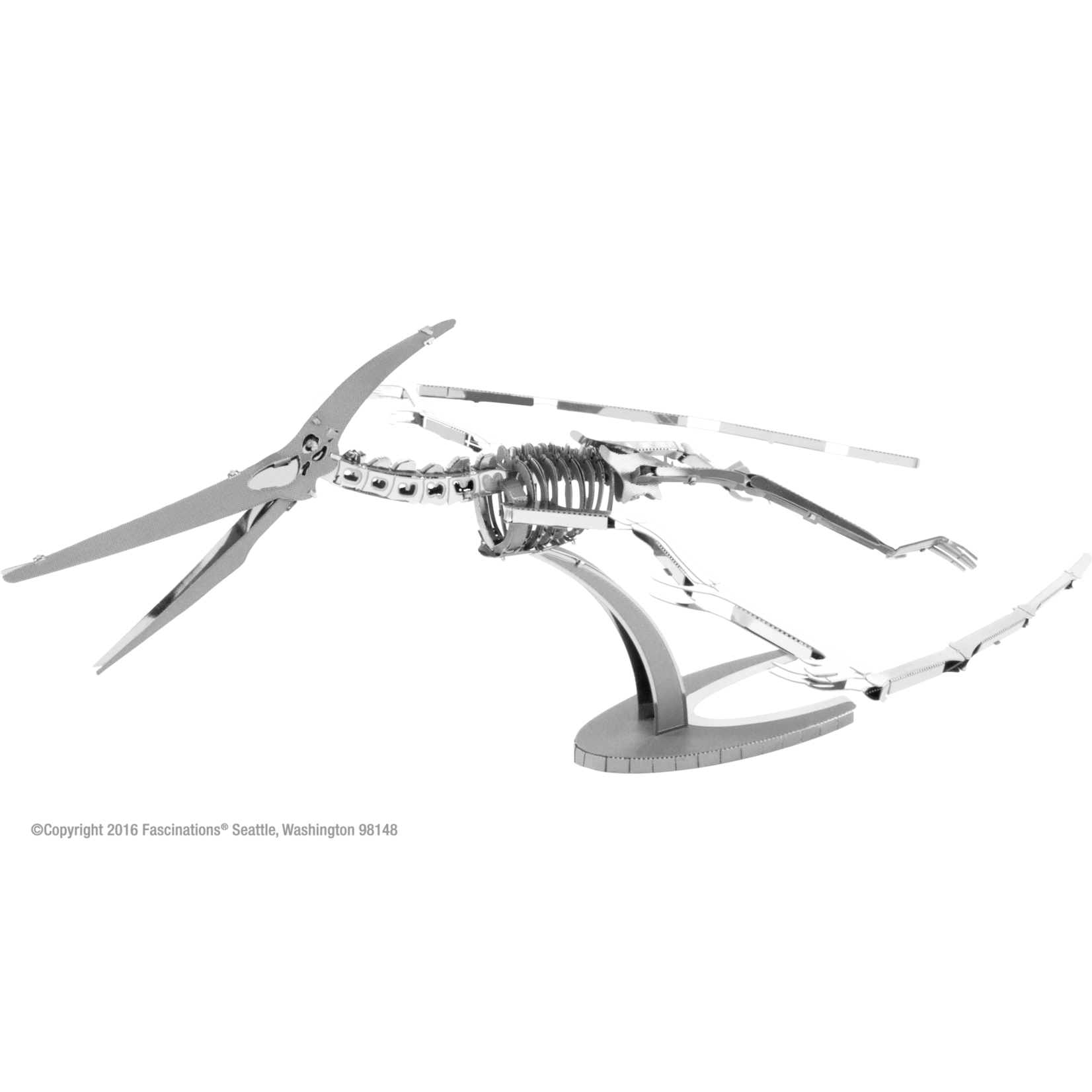Fascinations Dinosaur: Pteranodon Skeleton
